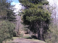 Serra Buffa